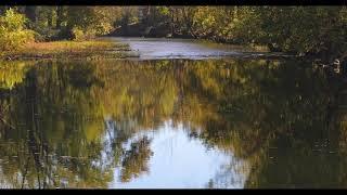 Bluff Mountain Fall Driving Tour