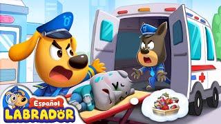 Compilación de Sheriff Labrador - NO NO Comas Comida Sucia | Videos de Niños | BabyBus en Español