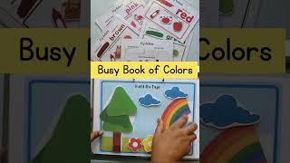 Colors Busy Book,Toddler Quiet Book,Montessori Materials,Preschool curriculum,Learning Binder