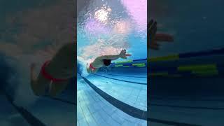 나 물 좀 잡나? #씰예스수영훈련팀 #씰예스 #swimming #접영