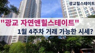 광교 자연앤힐스테이트 1월 4주차 거래 가능한 시세는 어느 정도인가요? 010-2318-9932광교힐스테이트부동산