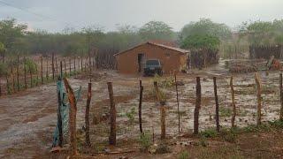 CHUVA NO SERTÃO NORDESTINO VERDEJANTE PÉ