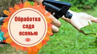 Обработка сада осенью от вредителей и болезней  Скор  Карбофос  Зубр