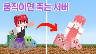 1초당 20번의 죽을 위기가 찾아오는 미친 서버 [마인크래프트]