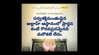 Telugu Hadees | Sayings of Prophet Muhammad (s) #hadees #quran #religion #shorts