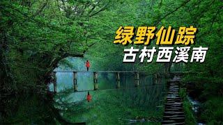 黄山西溪南古村落旅游 现实版的绿野仙踪 胡杨林湿地穿行