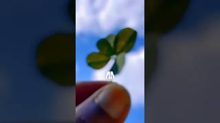 Entering the Age of Aquarius: Why we can’t go back to the old world.  #astrology #fourleafclover