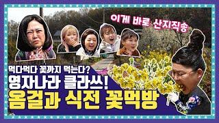 [EN/ID/JP]  EP.2-1 한우 먹으러 왔다가 꽃도 먹고 가지요~ 영자 강력추천! 오마이걸(OH MY GIRL)의 봄 배추꽃 먹방!