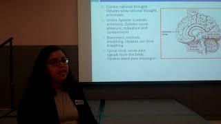 Language and Substance Use Disorder Training