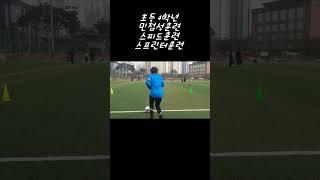유소년축구/유소년기본기/기본기훈련/스피드훈련/피지컬훈련/계단훈련/오르막훈련/볼마스터리훈련/패인팅훈련/축구기본기/스피드향상훈련/스프린터훈련/아빠와함께훈련