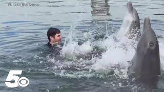 Wounded vets swim with Dolphins