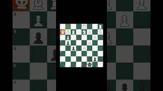CHECKMATE‼️ #chess #shorts #checkmate.