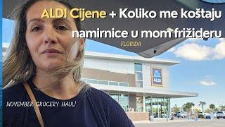 ALDI FOOD HAUL SA CIJENAMA - Koliko kosta i cijena hrana u Floridi