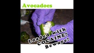 AVOCADO WITH COCAINE || BE CAREFUL!