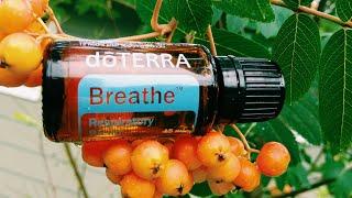 How To Use doTERRA Breathe Essential Oil Blend