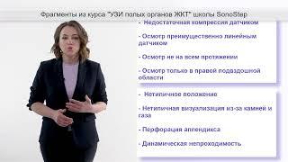 курс по ультразвуковому исследованию полых органов