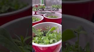 I can’t wait until this weekend! #algorithm #gardening #plants #homestead #gardenvisit #gardenchat