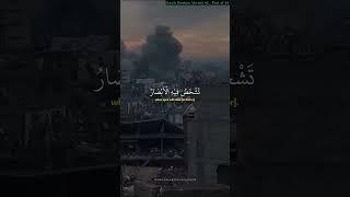 Muhammad Taha Al-Junaid - Surah Ibrahim Verses 42 - Part of 44
