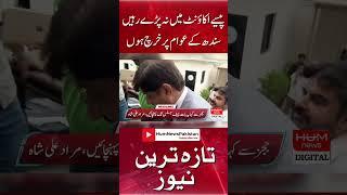 CM Sindh Murad Ali Shah Apologized From Court