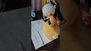 это наш pou (пой) 