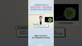 시험관아기시술 시 배아를 죽이는 자연살해세포, 도대체 뭐 하는 세포인가요? #시험관아기시술 #광주난임병원 #시험관아기