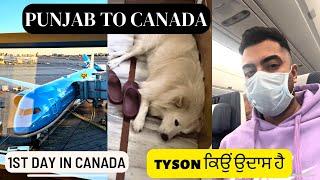 ਦੇਖੋ ਤਿੰਨ ਦੇਸ਼ਾਂ ਦੇ ਏਅਰਪੋਰਟ ਇਕੋ  vlog ਚ || by sandhu family cooking and vlogs