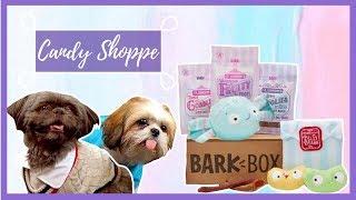 BarkBox Unboxing -- February 2019