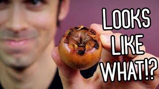 MEDLAR - A Weird Fruit That Looks Inappropriate But Tastes Great! - Weird Fruit Explorer