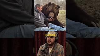 Joe Rogan Shocked By Wyoming Grizzly Bears