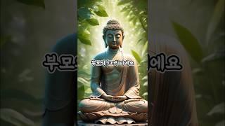 이 세상 모든 부모가 ‘이 기도’를 들어야 합니다 #부처님말씀 #부처님의가르침 #석가모니인생조언 #불교가르침