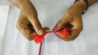 Dissect the given flower and display  floral whorls II 12th Biology Practicle II Maharastra Board