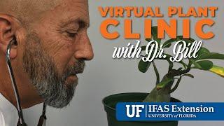 The Virtual Plant Clinic With Dr. Bill February 22, 2024