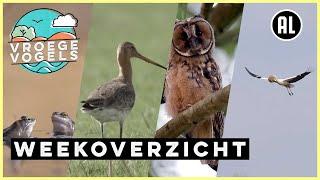 Vroege Vogels Vandaag | Weekoverzicht | Vroege Vogels