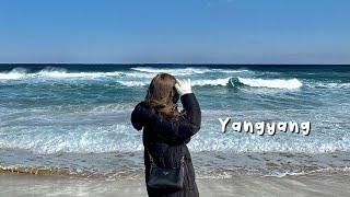 VLOG | 겨울 양양여행 브이로그