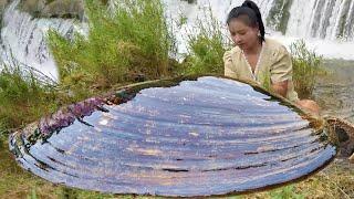 Under the growth of a giant clam spanning a century, the pearl treasure inside is so perfect