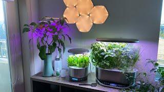 AeroGarden Days 91 & 28 - Tip & Tricks