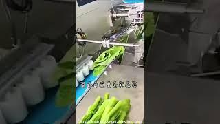 automatic vegetable packing machine——jiningkeepway