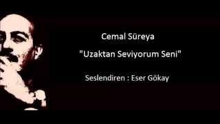 Cemal Süreya- Uzaktan  Seviyorum Seni