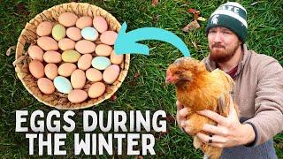 Keep Your Chickens Laying Eggs in the Winter