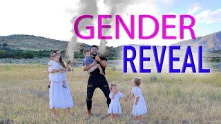 THE CHATWINS OFFICIAL GENDER REVEAL!!!