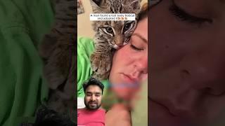 A miracle happened when a girl adopted a mysterious cat #birds #animals #wildlife #pets #rescue
