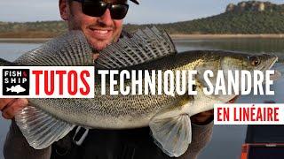 TUTO TECHNIQUE : Pêche du sandre en linéaire