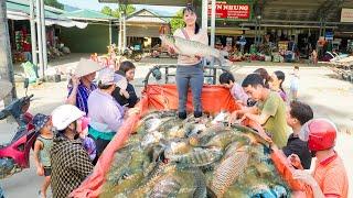 Use 3-wheeled Vehicle Harvesting Lots Of Big Fish Goes To Countryside Market Sell - Free Bushcraft