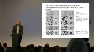 LSD Neuroscience Research at University of Fribourg | Prof. Gregor Hasler | ALPS Forum 2022