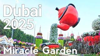 Dubai [4K] Discover the Magic of Dubai Miracle Garden 2025 