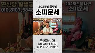 2025년 을사년 초대박나는 소띠운세자식의덕까지 모든 운이 상승해 돈방석에 앉는다! 61년생 73년생 85년생 97년생 소띠 운세! 말년운 금전운 사업운 문서운