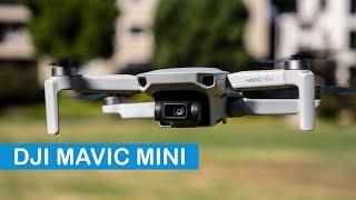 DJI Mavic Mini: In-Depth Hands-On Review