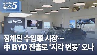 침체된 수입車 시장…中 BYD 진출로 ‘지각 변동’ 오나