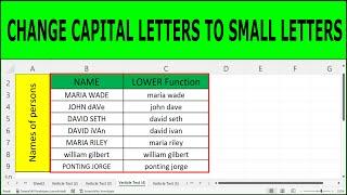 How to Change Capital Letters to Lowercase in Excel  | How to Change Caps to Lowercase in Excel