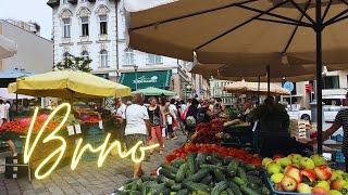 Exploring Brno, Czech Republic (Cathedral of Saint Peter and Paul, Špilberk Castle, Central Market)